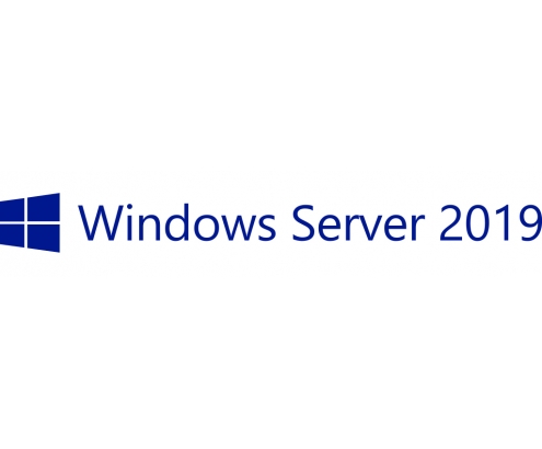 Hewlett Packard Enterprise Microsoft Windows Server 2019 5 licencias P...