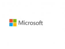 Hewlett Packard Enterprise Microsoft Windows Server 2022 Licencia de a...