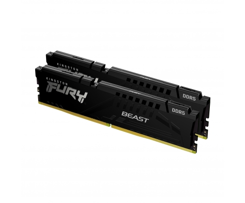Kingston Technology FURY Beast módulo de memoria 32 GB 2 x 16 GB DDR5 ...