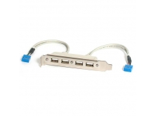StarTech.com Cabezal Bracket de 4 puertos USB 2.0 con Conexión a Placa Base 2x IDC10