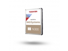Toshiba N300